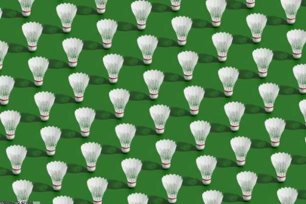 新余室内体育培训课程设置与评价